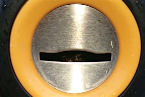 coin slot eye people|Urban Dictionary: coin slot eyes.